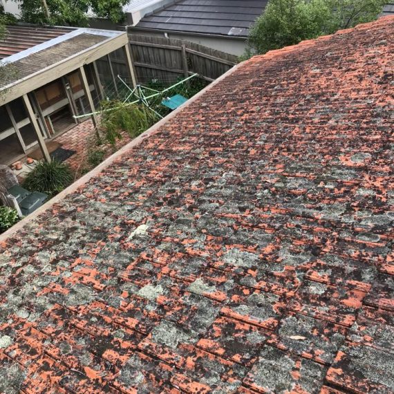 Before Roof Restoration image